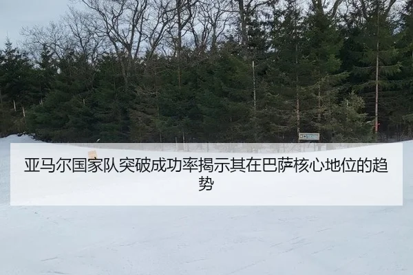 ya-ma-er-guo-jia-dui-tu-po-cheng-gong-lv-jie-shi-qi-zai-ba-sa-he-xin-di-wei-de-qu-shi-1-579.jpg